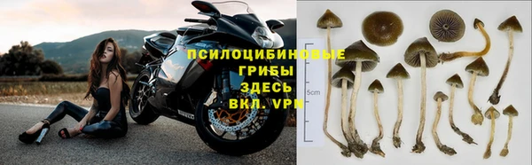дмт Армянск