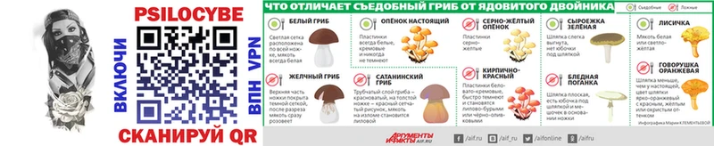 купить наркотик  Шали  Галлюциногенные грибы мицелий 