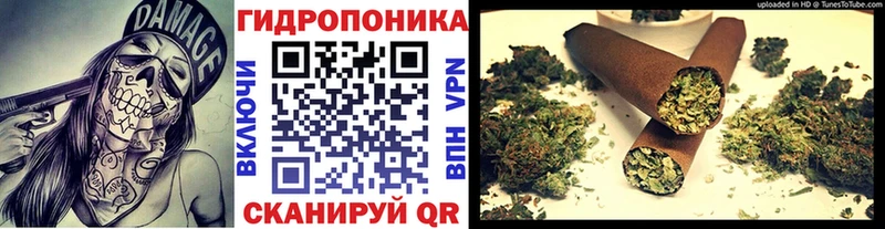 продажа наркотиков  Шали  Марихуана OG Kush 